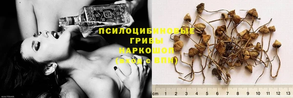 Альфа ПВП Горнозаводск