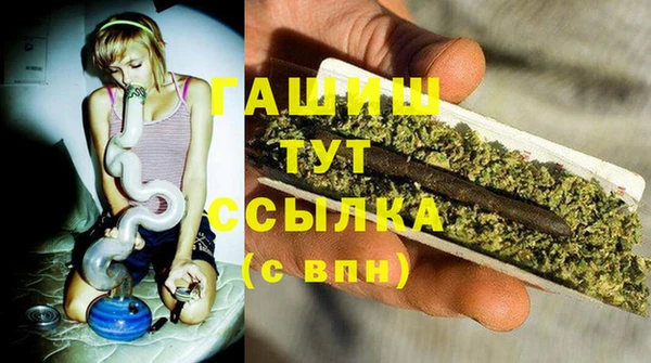 молекула духа Горняк