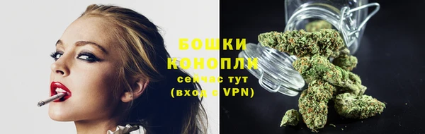 Альфа ПВП Горнозаводск