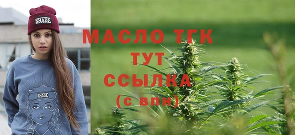 молекула духа Горняк