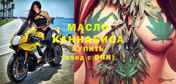 молекула духа Горняк