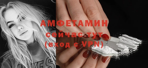 молекула духа Горняк