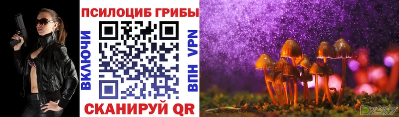 Галлюциногенные грибы MAGIC MUSHROOMS где купить наркотик Красавино